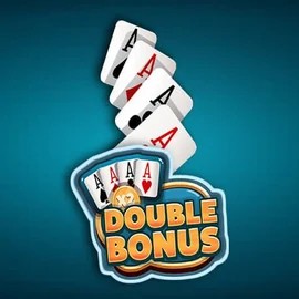 Play Double Double Bonus slot by Red Rake Gaming on spinorhino-casino.org
